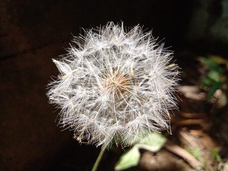 2° lugar: Helen Ferreira - IOC