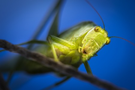 1° lugar: José Carlos Mendes Moreira Xavier - ICICT 