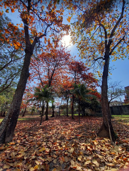 2° lugar: Beatriz Mendes da Silva