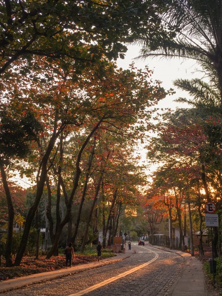 3° lugar: Renatah da Fonseca Correia - Cogic