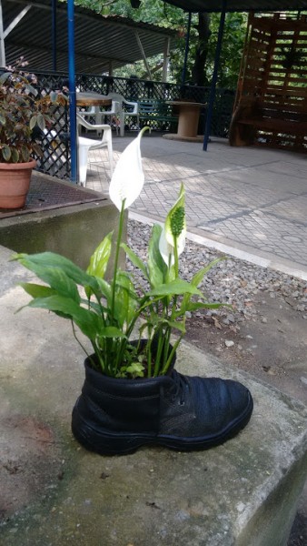 IMG_20161027_091034023