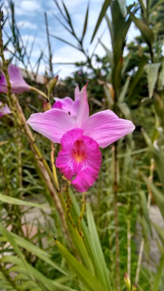 Eloiza Paula de Freitas Trindade