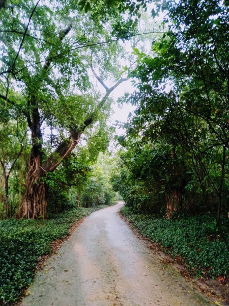Elô de Oliveira Rodrigues