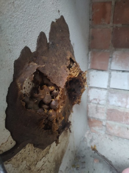 WhatsApp Image 2024-12-19 at 09.51.59