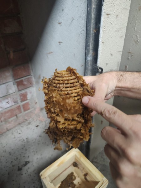 WhatsApp Image 2024-12-19 at 09.52.19