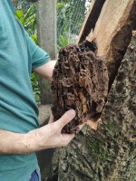 WhatsApp Image 2024-12-19 at 09.52.27 (1)