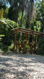 WhatsApp Image 2024-12-19 at 10.32.00 (1)