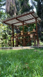 WhatsApp Image 2024-12-19 at 10.32.01