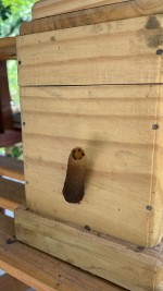 WhatsApp Image 2024-12-19 at 10.32.03 (1)