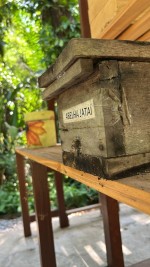 WhatsApp Image 2024-12-19 at 10.32.03