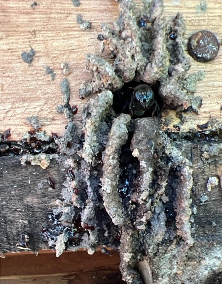 WhatsApp Image 2024-12-19 at 10.32.03 (2)