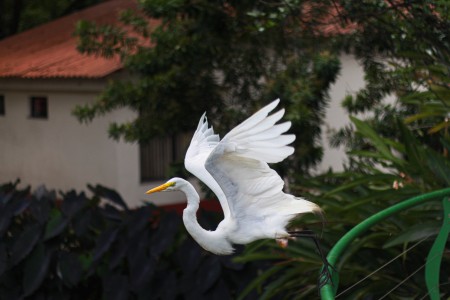 Edson Gabriel Moreira Jacques | Unidade: COC